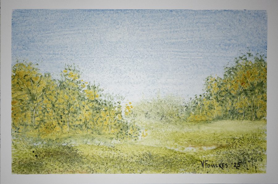 Morning Meadow