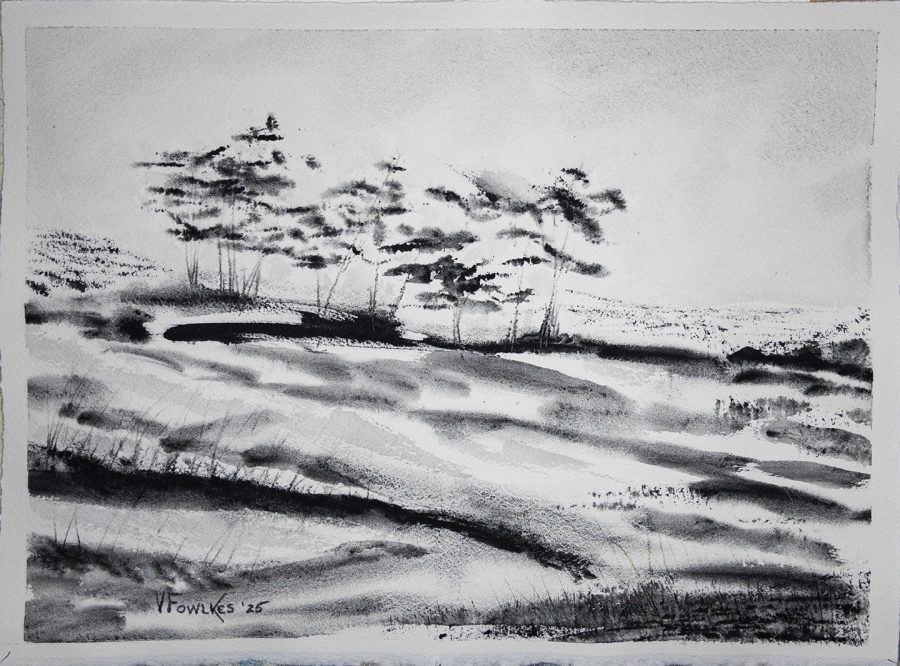 Trees and Dunes in Black and White